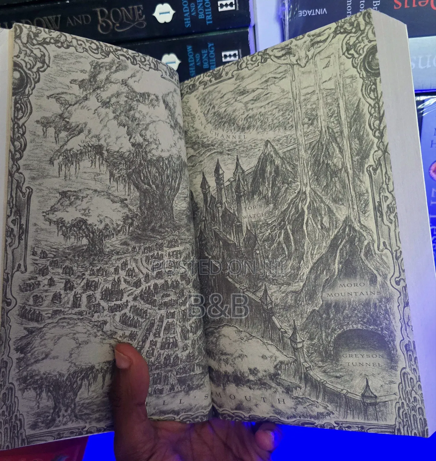 Dance of Thieves Series - Mary E. Pearson