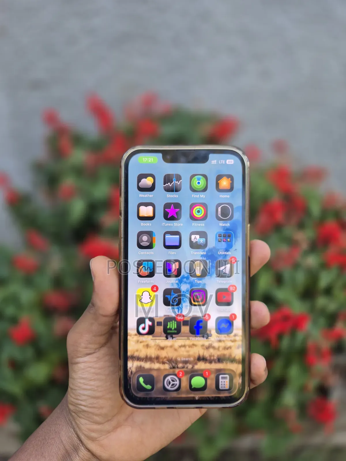 Apple iPhone 13 256 GB Green