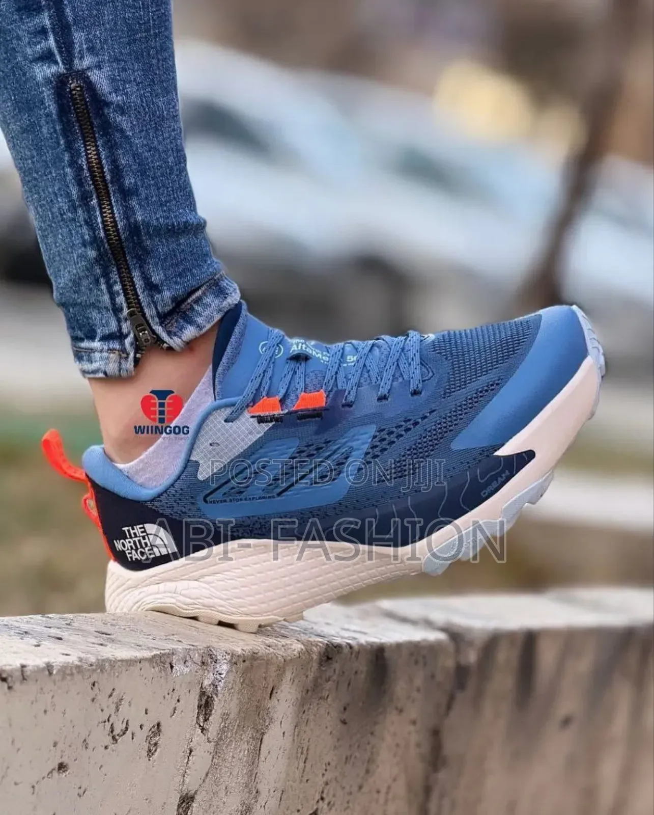 The North Face Hiking Blue Dream Shoes