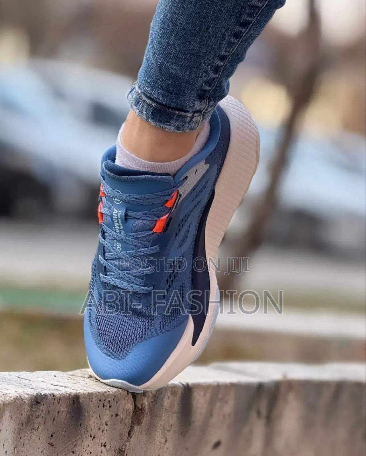 The North Face Hiking Blue Dream Shoes