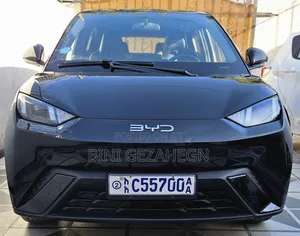 BYD Seagull 38 kWh FWD 2024 Black