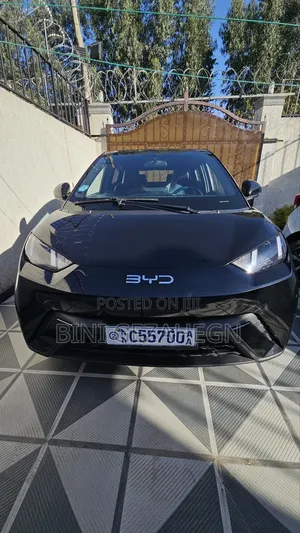 BYD Seagull 38 kWh FWD 2024 Black