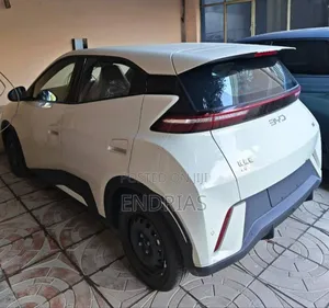 New BYD Seagull 2025 Off white