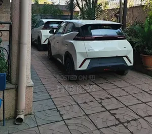 New BYD Seagull 2025 Off white