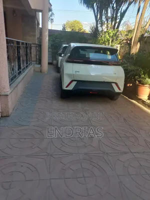 New BYD Seagull 2025 Off white