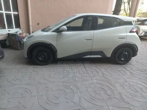 New BYD Seagull 2025 Off white