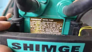 Shimge Submersible Pump 1.5hp