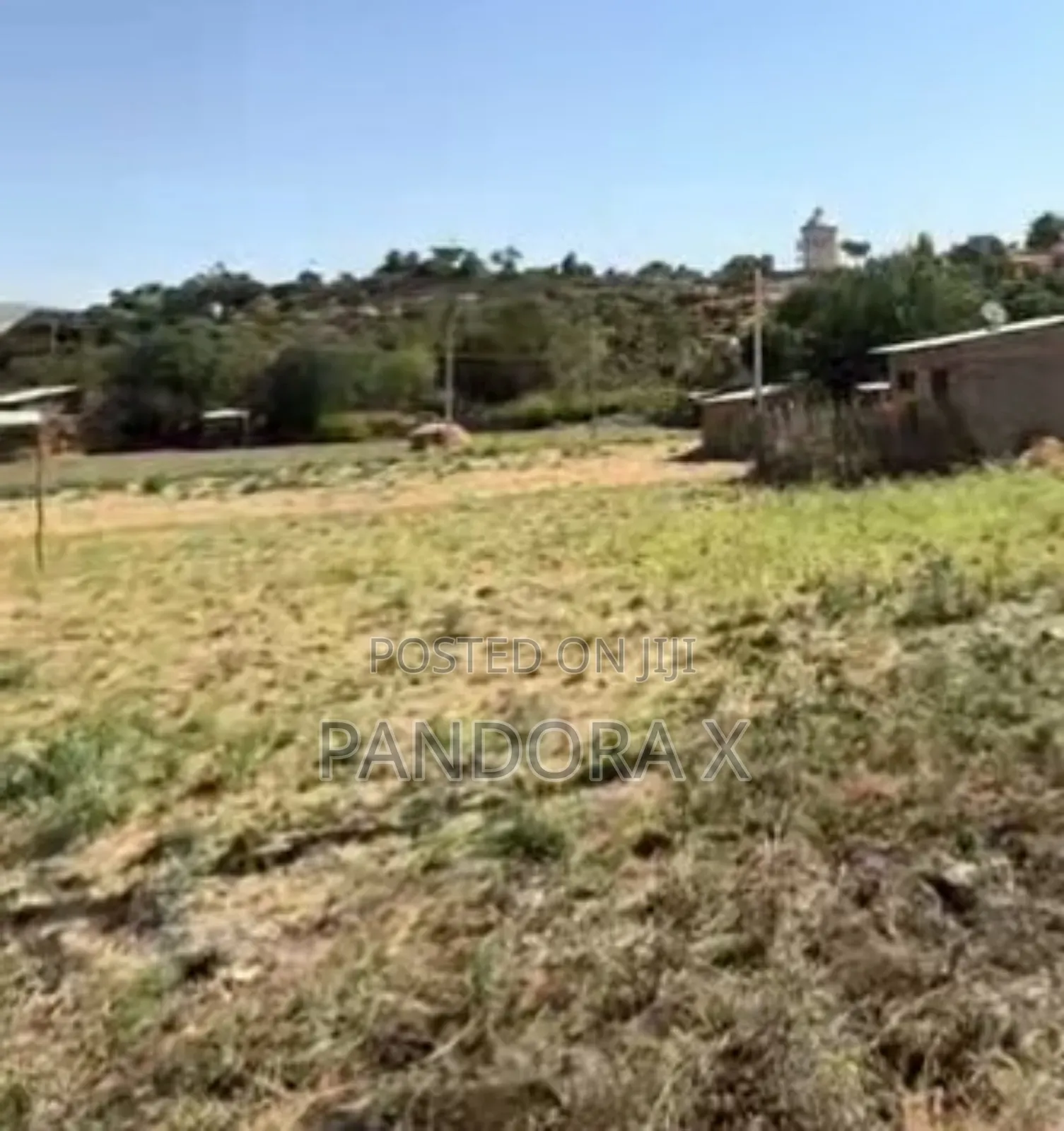 መቀለ የሚሸጥ ቦታ