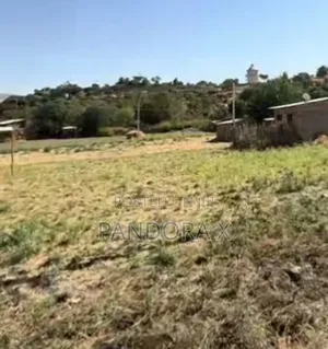 መቀለ የሚሸጥ ቦታ