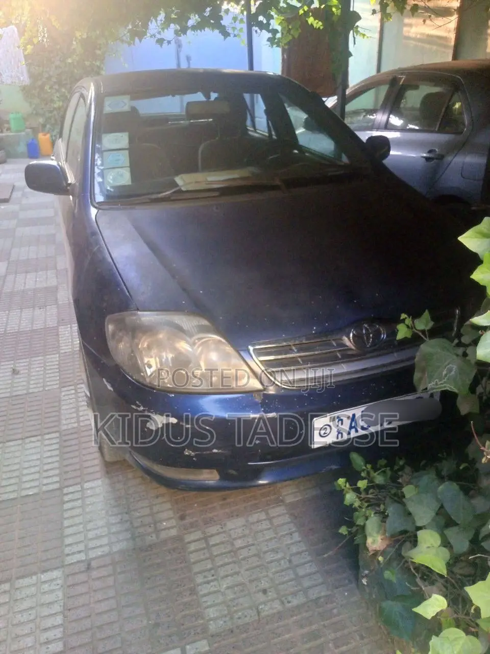 Toyota Corolla 2000 Blue