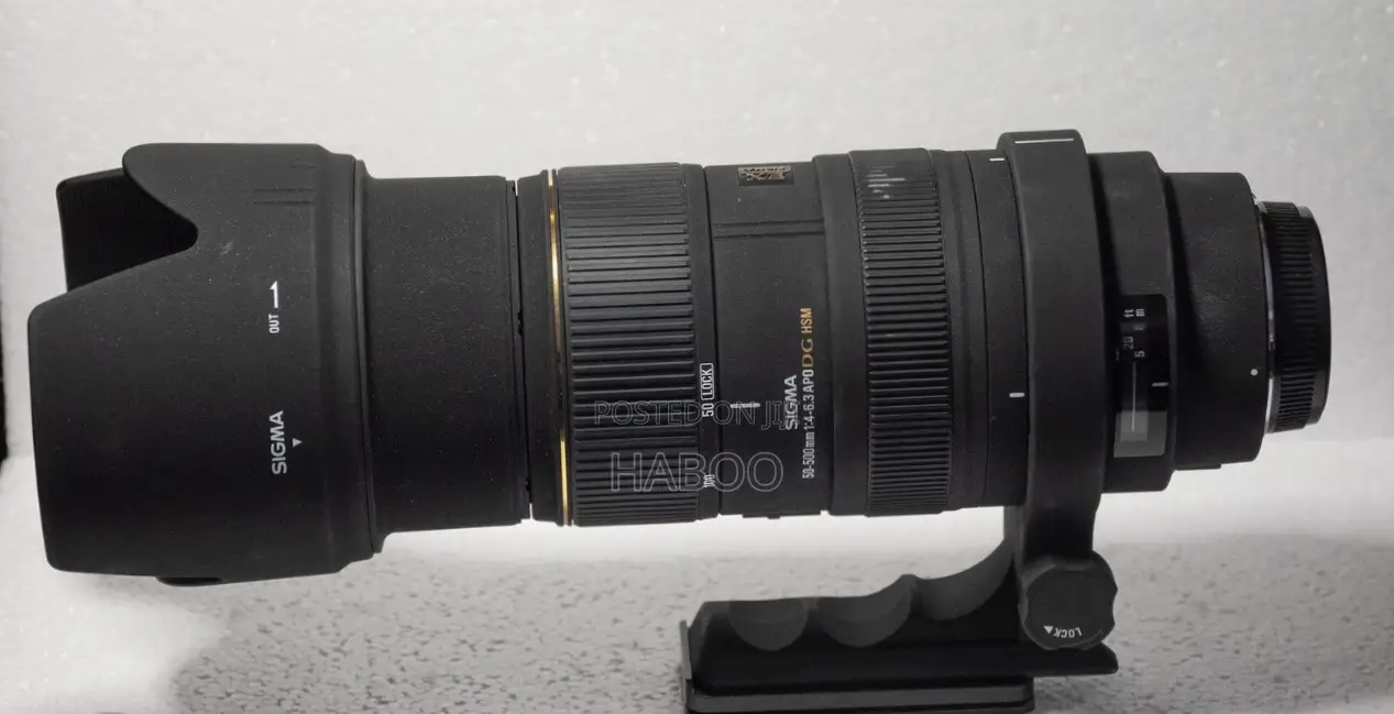 Sigma 50-500 F/4-6.3 Apo Dg HSM Lens on Hand