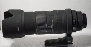 Sigma 50-500 F/4-6.3 Apo Dg HSM Lens on Hand