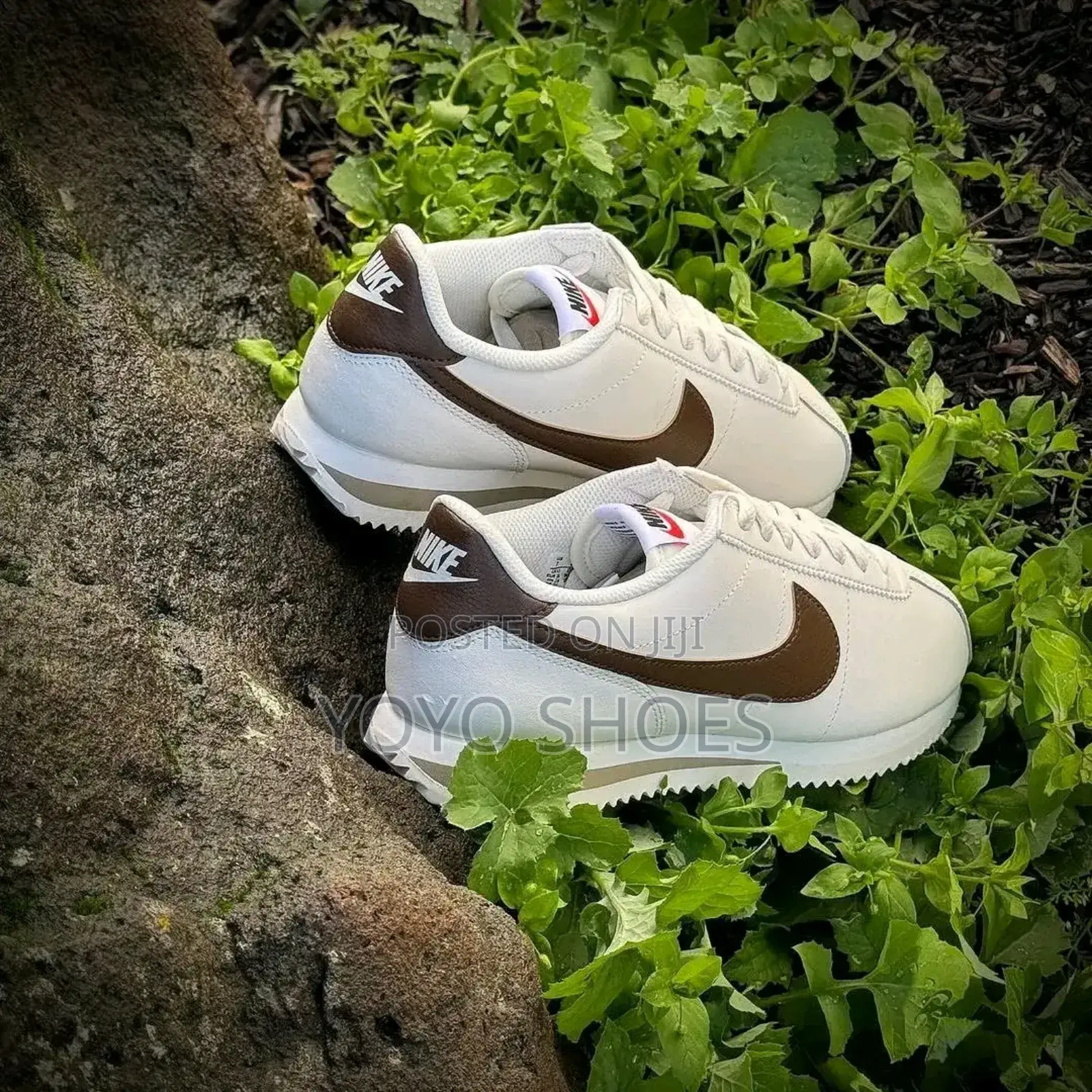 Nike Cortez Cacaw Wow Faahion Sneaker