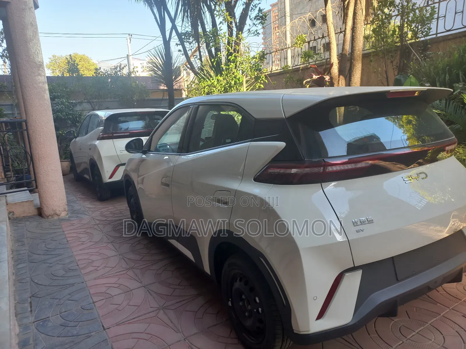 New BYD Seagull 2025 White