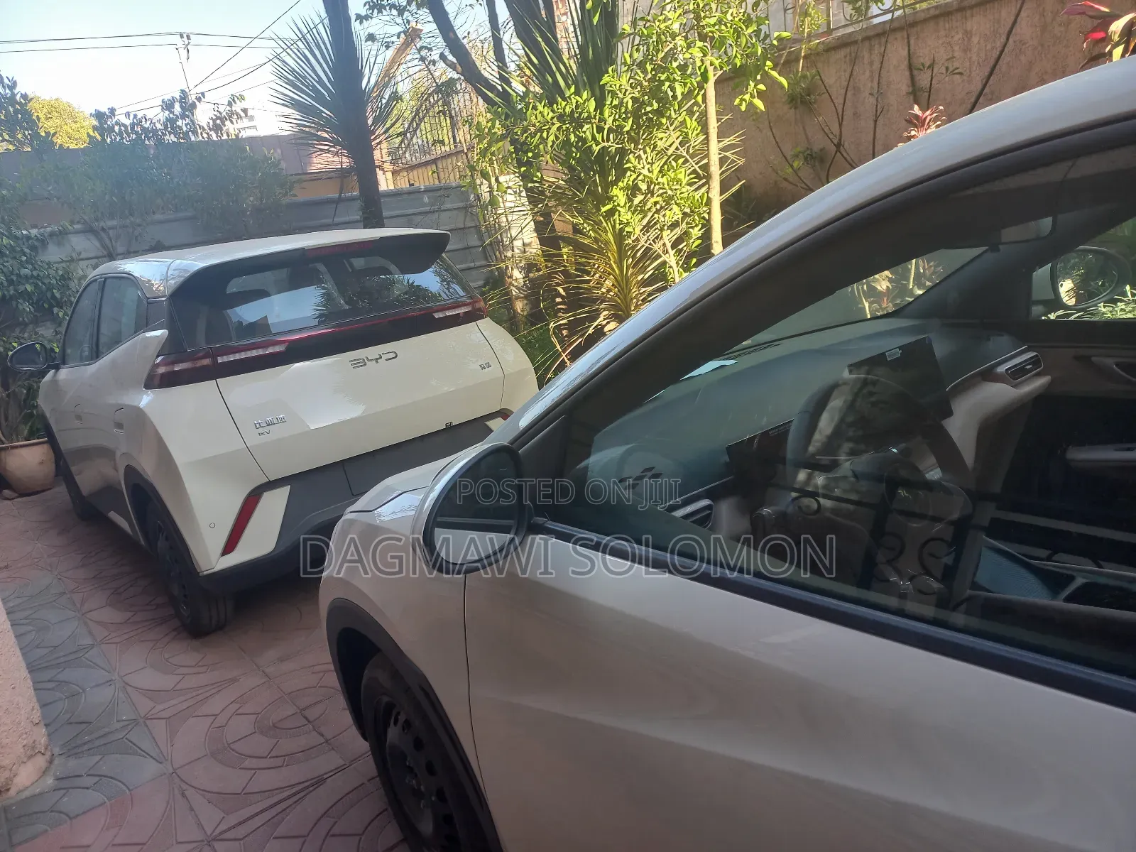 New BYD Seagull 2025 White