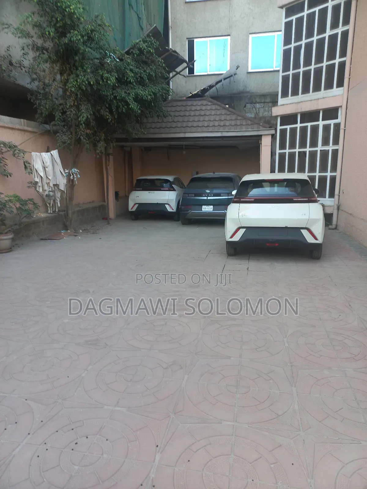 New BYD Seagull 2025 White