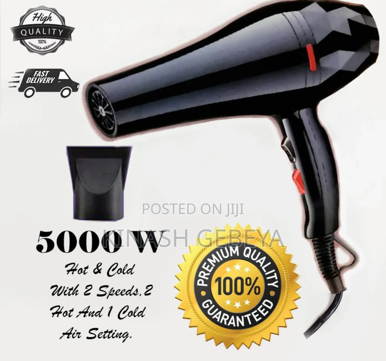 Pro Remington Professional Hair Dryer