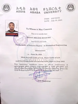 Reliable Tutoring Service From Kg-12