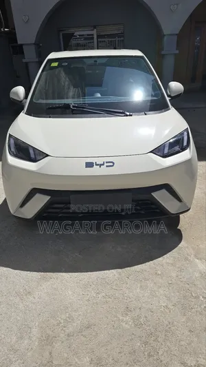 New BYD Seagull 2025 Beige