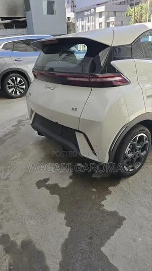 New BYD Seagull 2025 Beige