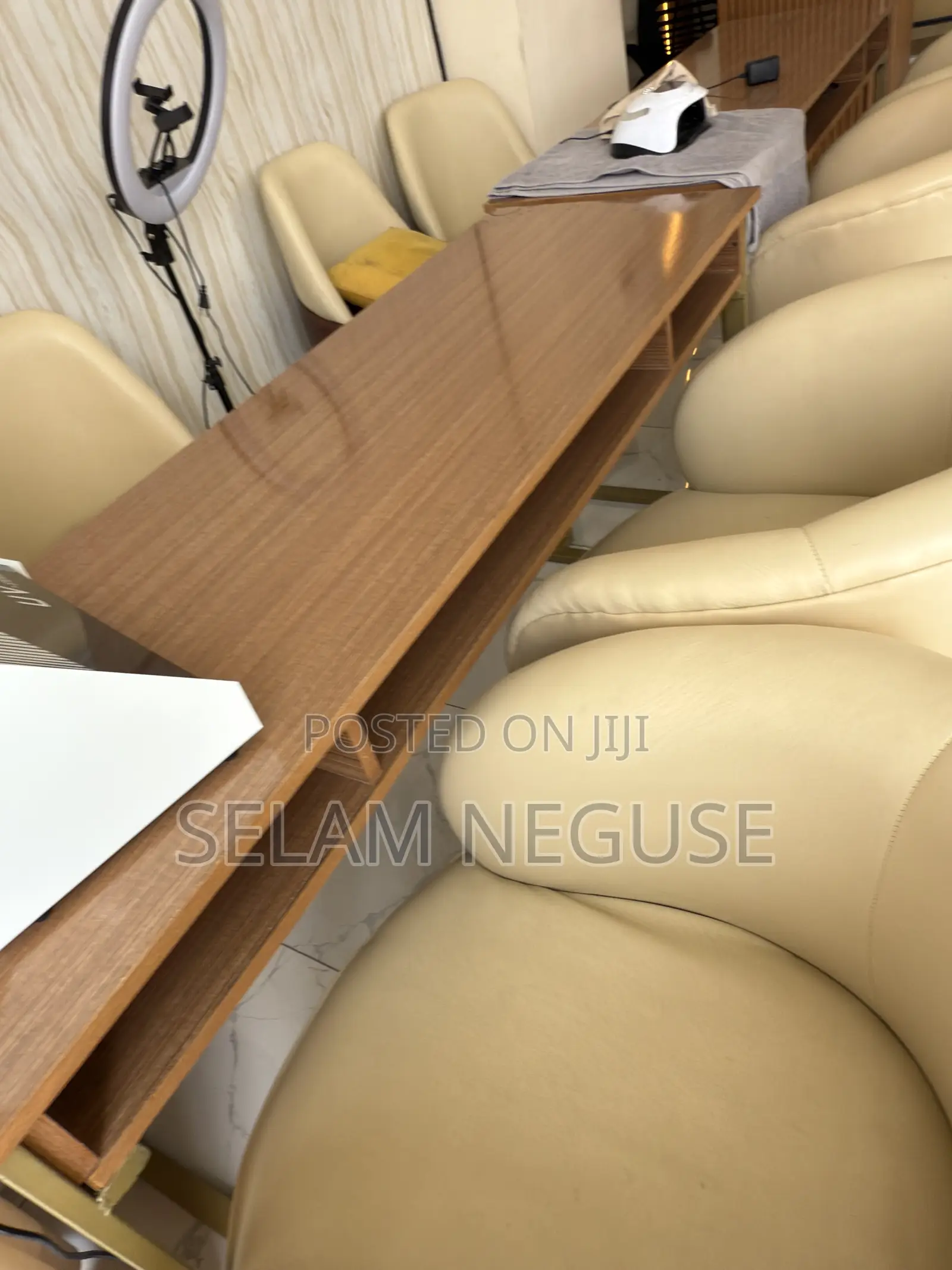 Sofa and Beauty Salon Equipment