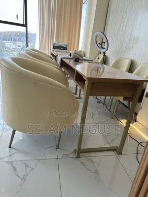 Sofa and Beauty Salon Equipment