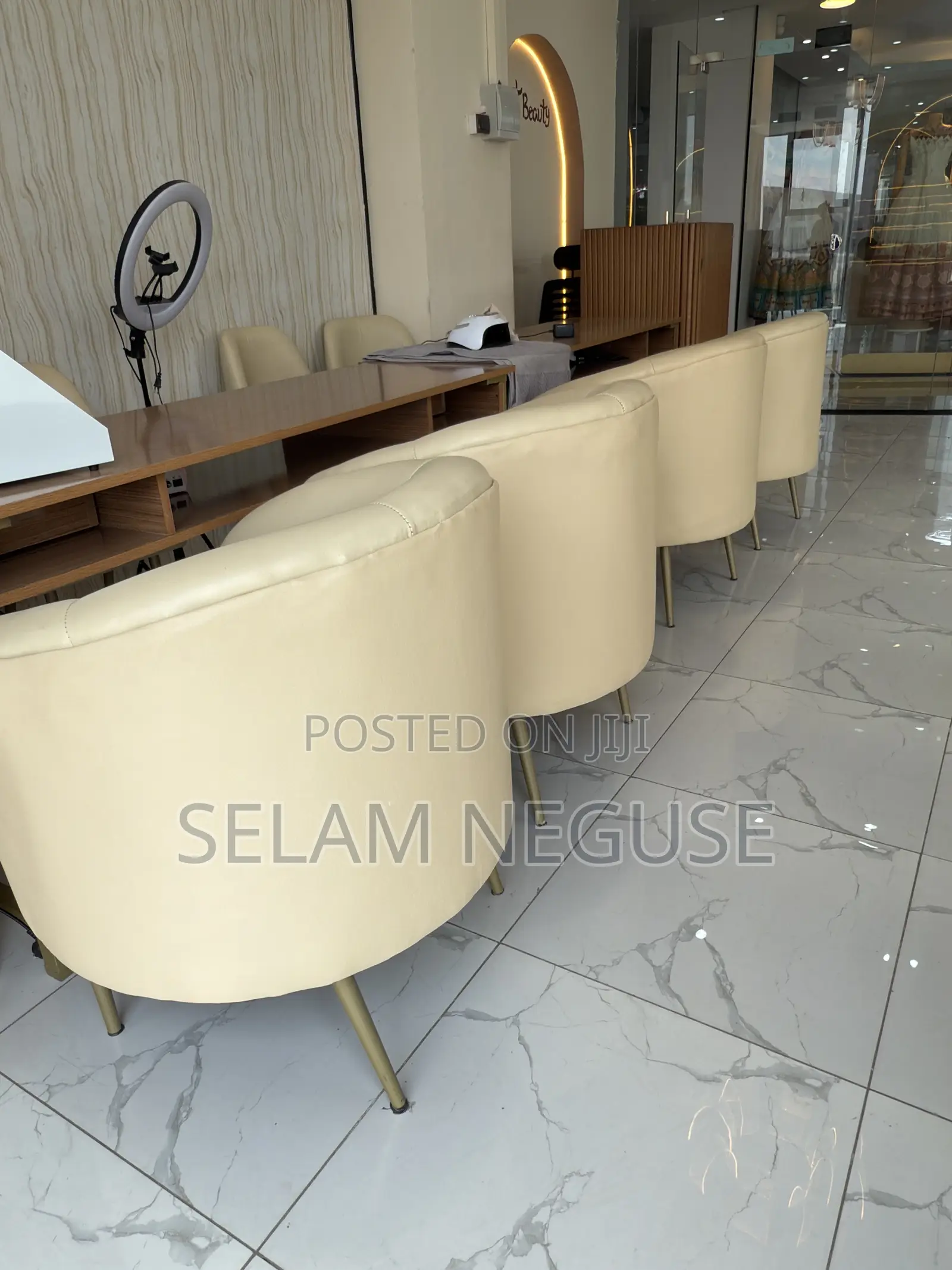 Sofa and Beauty Salon Equipment