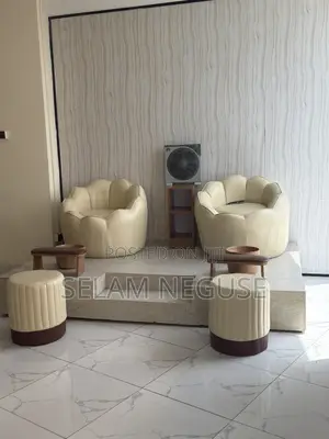 Sofa and Beauty Salon Equipment