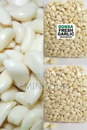 የተላጠ ነጭ ሽንኩርት ( Premium Garlic)