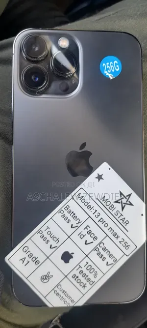 Apple iPhone 13 Pro Max 256 GB Gray