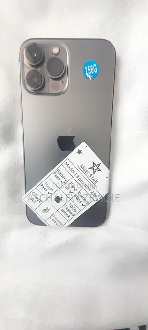 Apple iPhone 13 Pro Max 256 GB Gray