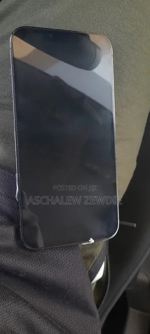 Apple iPhone 13 Pro Max 256 GB Gray