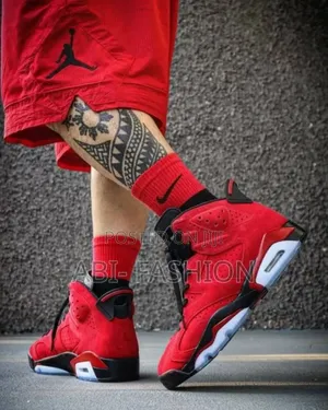 Air Jordan 6 Toro Bravo