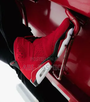 Air Jordan 6 Toro Bravo