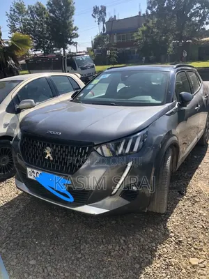 Peugeot 2008 2022 Gray
