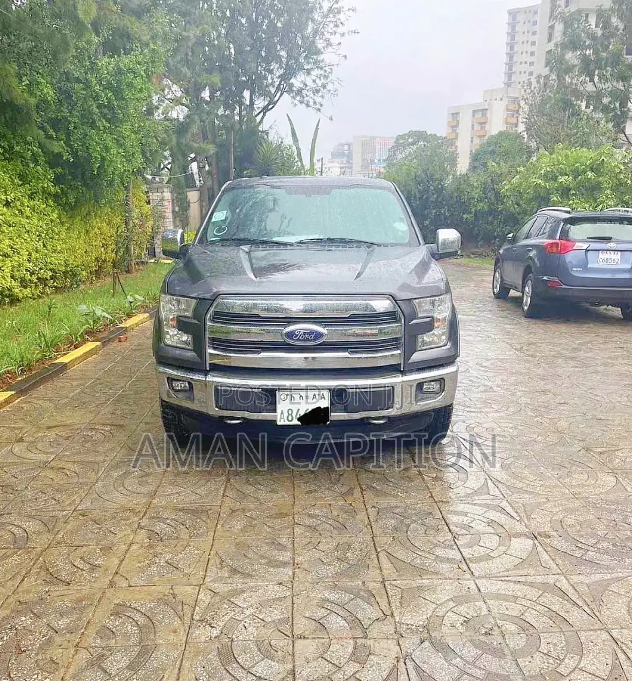 Ford F-150 2015 Gray