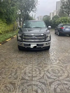 Ford F-150 2015 Gray