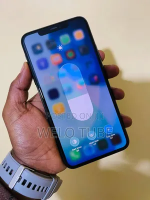 Apple iPhone 11 Pro Max 256 GB Blue