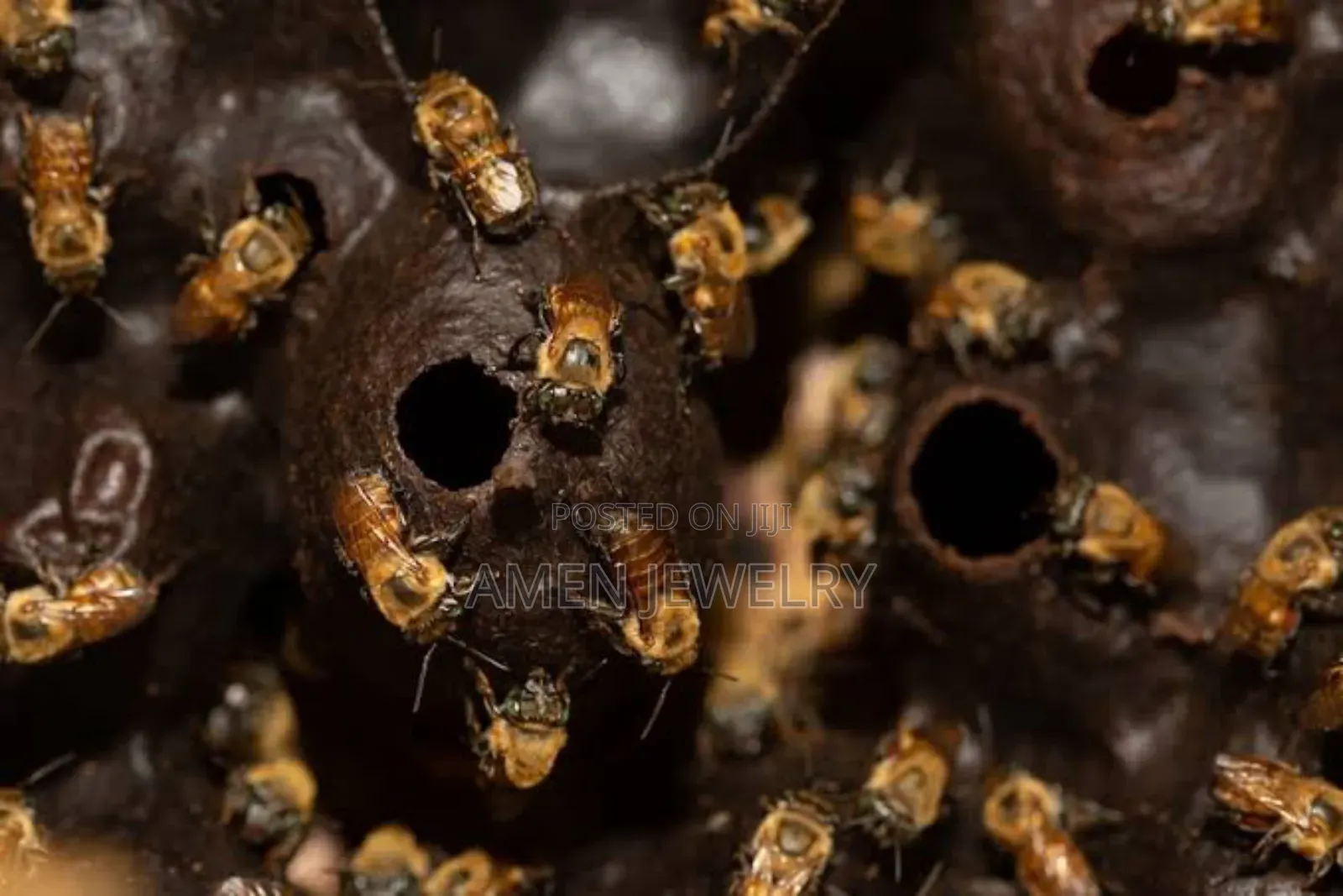 100%ንፁህ የጣዝማ ማር_ኪሎ=5,000