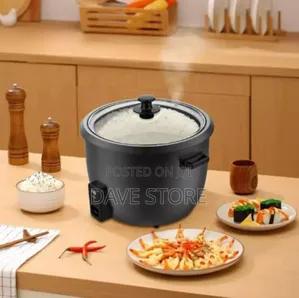 Winning Star 3.6 and 2.2 Electric Cooker