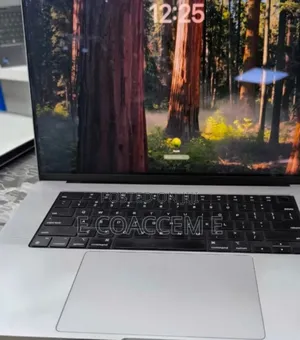 New Laptop Apple MacBook 64GB Apple M1 SSD 1T