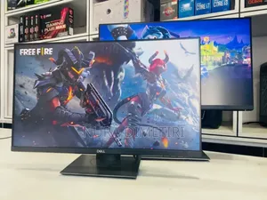 Dell 24 Inch Monitor