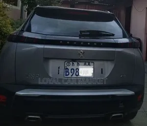 Peugeot 2008 2021 Gray