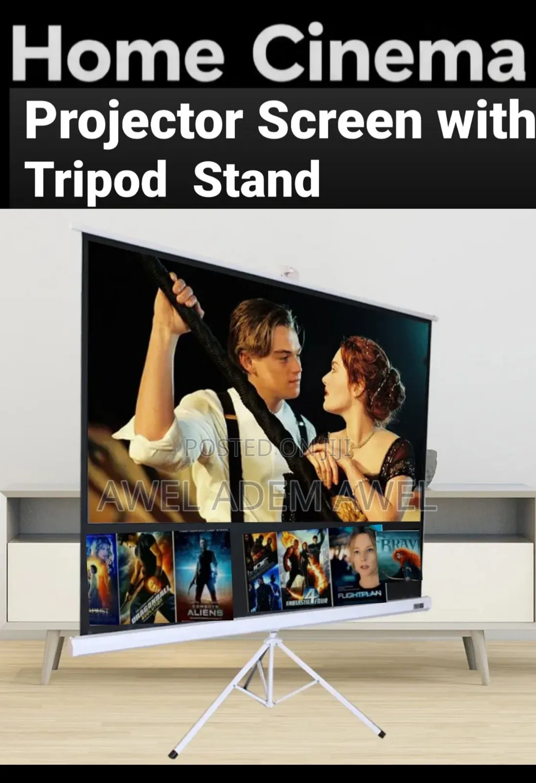 Projector Screen With Tripod Stand