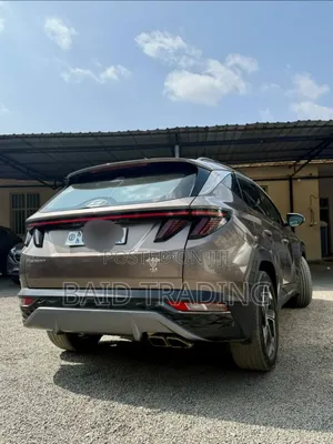 Hyundai Tucson 2022 Brown