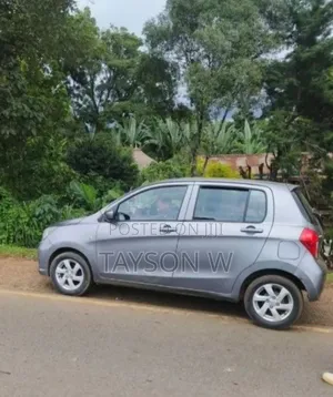 Suzuki Celerio 2021 Gray