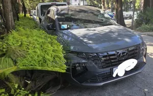 Hyundai Tucson 2022 Gray
