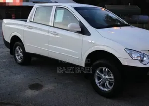 SsangYong Actyon 2008 White