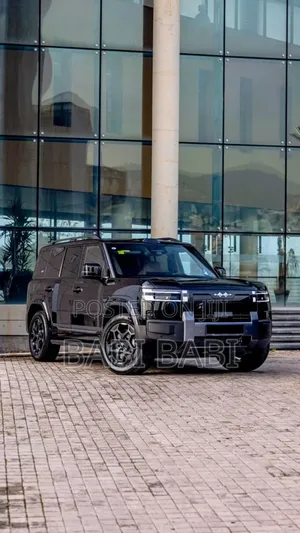 New BYD Leopard 7 2025 Matt Black