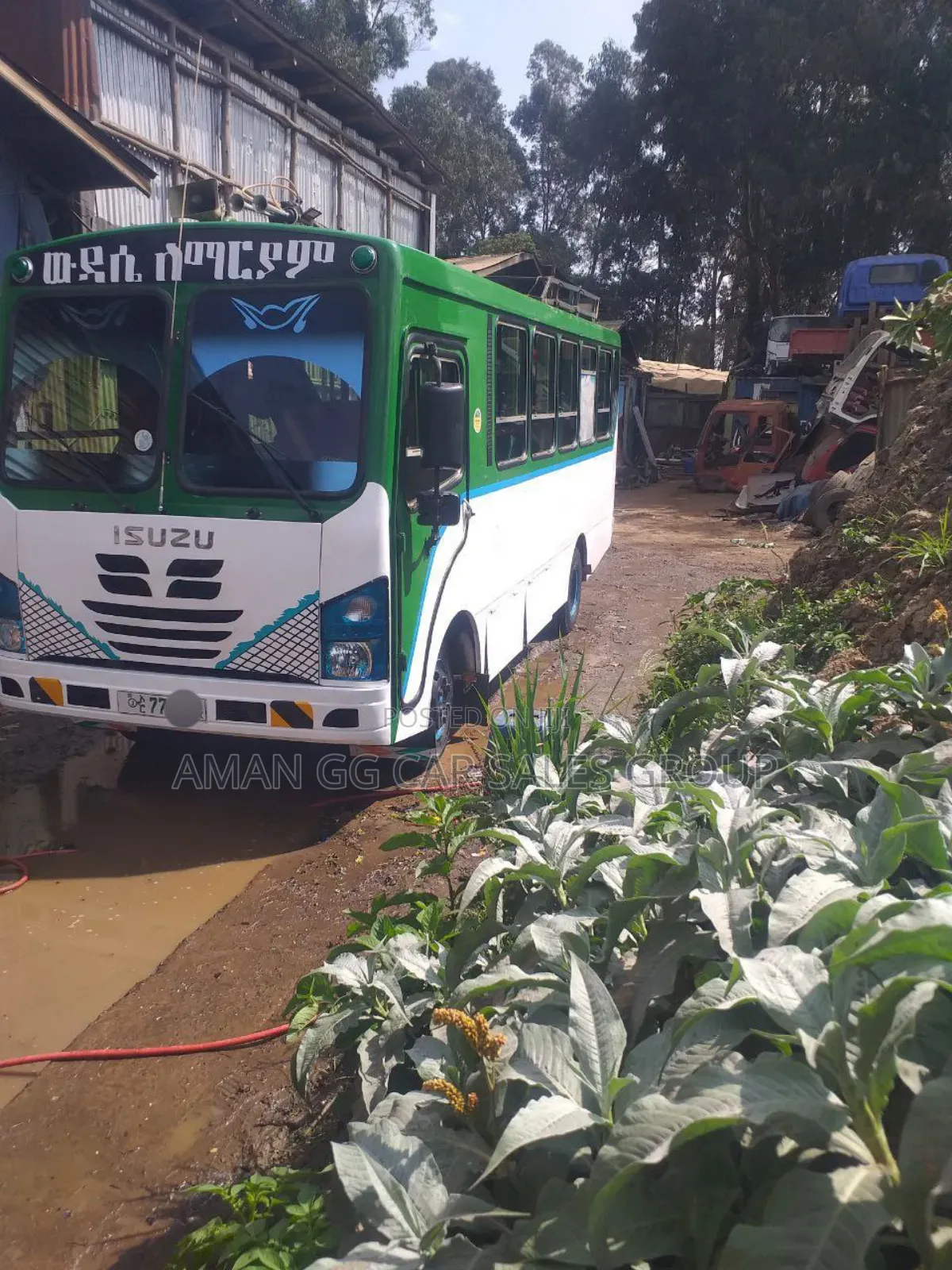 Isuzu Executive Bus 2019 White